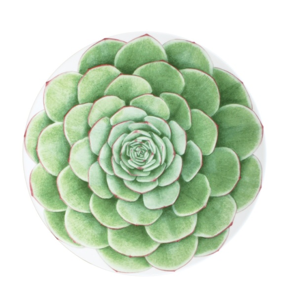 Taitu Desert Rose Fine Bone 23Cm 4Lu Tabak Seti (1)